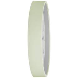 TFA Dostmann 60.3550.04 DCF nástěnné hodiny 24.5 cm x 42 mm , mátová