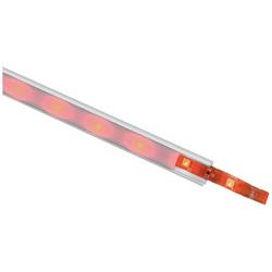Eurolite 50530190 LED pásek Energetická třída (EEK2021): G (A - G) volný konec 24 V 5 m RGB 5 m
