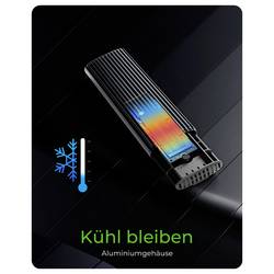 ICY BOX 61124 Pouzdro pro SSD M.2 USB 3.2 (Gen 2) , USB-C™ (USB 3.2 Gen 2)