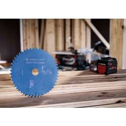 Bosch Accessories 2608902163 2608902163 pilový kotouč Počet zubů (na palec): 24 1 ks