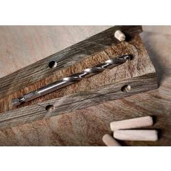 Bosch Accessories 2608577703 spirálový vrták do dřeva 1 ks