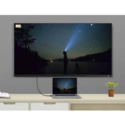 Renkforce DisplayPort / HDMI kabelový adaptér Konektor DisplayPort, Zástrčka HDMI-A 10.00 m černá RF-4581870 s feritovým jádrem Kabel DisplayPort