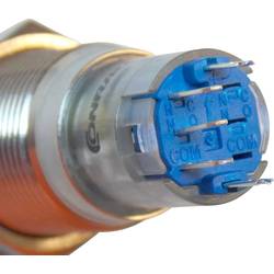 TRU COMPONENTS LAS2GQF-11ZET/B/12V/S/P, 1303026 tlačítkový spínač, 16 mm, 48 V/DC, 2 A, 1 ks
