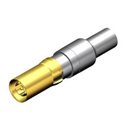 Molex 1731120621 zásuvkový kontakt 1 ks