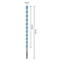 Bosch Accessories 2608902271, 2608902271 Multifunkční vrták, 10 mm, délka 250 mm, šestihran
