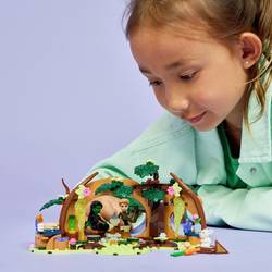 75687 LEGO® Wicked