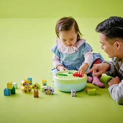 10441 LEGO® DUPLO® Třídič formátu: Dům na světové straně