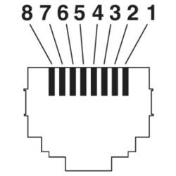 Phoenix Contact 1408934 RJ45 síťové kabely, propojovací kabely CAT 5 SF/UTP 2.00 m vodní modrá 1 ks