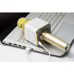 Technaxx BT-X31 AUX, USB zlatá, bílá