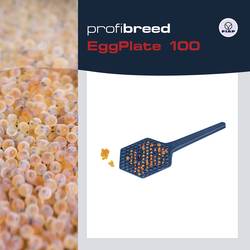FIAP 1400 deska na počítání jiker (d x š x v) 170 x 85 x 5 mm