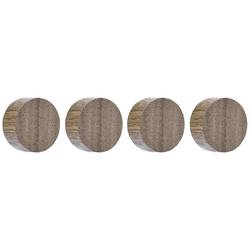 magnetoplan magnet Circle (Ø) 30 mm vlašský ořech 4 ks 1665451