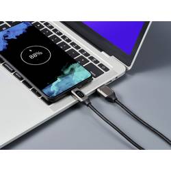 Renkforce USB kabel USB 2.0 USB-A zástrčka, USB-C ® zástrčka 1.00 m stříbrná (metalíza) RF-6249616