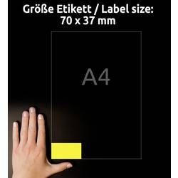 Avery-Zweckform L6131-20 Fóliové etikety 70 x 37 mm poylesterová fólie žlutá 480 ks trvalé barevná laserová tiskárna, laserová tiskárna, barevná kopírka,