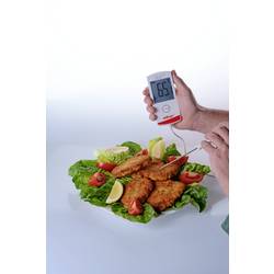 ebro TTX 200 vpichovací teploměr (HACCP), rozsah -30 do +200 °C