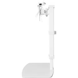 SpeaKa Professional držák monitoru SP-TMS-201 1 Displej: (s) 43,2 cm (17) - 81,3 cm (32) bílá nastavitelná výška, naklápěcí, nakláněcí