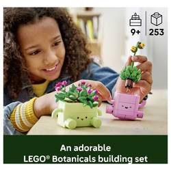 6588545 LEGO® Botanicals™ Botanicals (11506), Bubanicals, Basset for Betenen, Bedeko