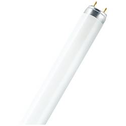 OSRAM HOMELIGHTING zářivková trubice Energetická třída (EEK2021): G (A - G) G13 30 W teplá bílá 827 zářivkový tvar (Ø x d) 26 mm x 908.8 mm 1 ks