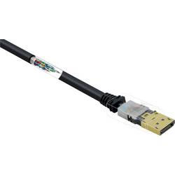 Renkforce DisplayPort kabel Konektor DisplayPort, Konektor DisplayPort 1.00 m černá UHD 4K @ 60 Hz pozlacené kontakty, s feritovým jádrem RF-3433992 Kabel