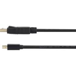 Renkforce Mini-DisplayPort / DisplayPort kabelový adaptér Mini DisplayPort konektory, Konektor DisplayPort 3.00 m černá RF-4538178 pozlacené kontakty Kabel