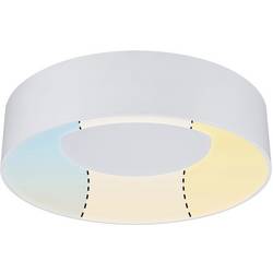 Paulmann 78946 HomeSpa Casca LED stropní svítidlo LED pevně vestavěné LED 16.00 W bílá