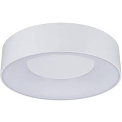 Paulmann 78946 HomeSpa Casca LED stropní svítidlo LED pevně vestavěné LED 16.00 W bílá