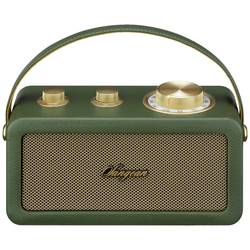Sangean RA-101 A500523 Akumulátorové rádio, FM, Bluetooth, AUX, s akumulátorem, zelená, zlatá