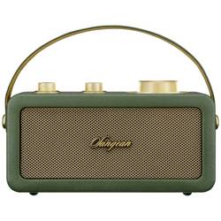 Sangean RA-101 A500523 Akumulátorové rádio, FM, Bluetooth, AUX, s akumulátorem, zelená, zlatá