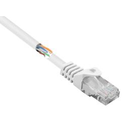 Renkforce RF-5043830 RJ45 síťové kabely, propojovací kabely CAT 5e U/UTP 1.00 m bílá s ochranou 1 ks