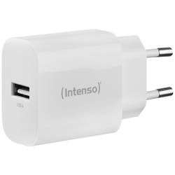 Intenso W5A USB nabíječka, 1x USB A , 5 W, bílá