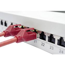 Digitus DN-91624S-EA 24 portů síťový patch panel 483 mm (19) CAT 6A 1 U šedobílá (RAL 7035) osazený