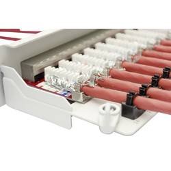 Digitus DN-91624S-EA 24 portů síťový patch panel 483 mm (19) CAT 6A 1 U šedobílá (RAL 7035) osazený