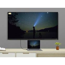 Renkforce DisplayPort kabel Konektor DisplayPort, Konektor DisplayPort 1.50 m černá SP-9163732 pozlacené kontakty Kabel DisplayPort