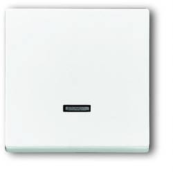 Busch-Jaeger 6543-84-101 2CKA006599A2834 vstupní modul žádný dopravní bílá, bílá 1 ks
