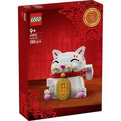 40813 LEGO® ICONS™