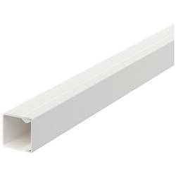 OBO Bettermann 6175400 kabelová lišta (d x š x v) 2000 x 17.4 x 17.4 mm 1 ks čistě bílá