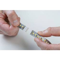 Paulmann MaxLED 500 70829 LED pásek základní sada konektor 24 V 10 m teplá bílá 1 ks