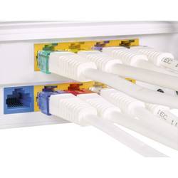 Klip pro opravu uchycení RJ45 Renkforce RF-NW-RC RF-4480068 10 ks