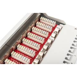 Digitus DN-91612S-EA-G 12 portů síťový patch panel 254 mm (10) CAT 6A 1 U vícebarevná osazený