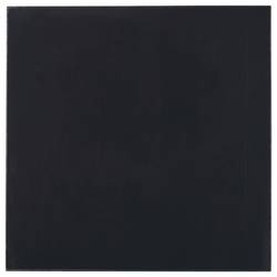 Thermal Grizzly Minus Pad Basic teplovodivá podložka nevodivý 1.5 mm (d x š) 100 mm x 100 mm