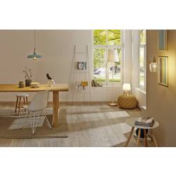 Paulmann 28620 LED Energetická třída (EEK2021) E (A - G) E27 9 W teplá bílá (Ø x v) 60 mm x 106 mm 1 ks
