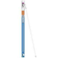 OSRAM HOMELIGHTING LED trubice Energetická třída (EEK2021): E (A - G) G13 zářivkový tvar T8 7 W = 16 W studená bílá (Ø x v) 26.80 mm x 28 mm 1 ks
