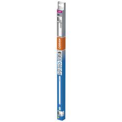 OSRAM HOMELIGHTING LED trubice Energetická třída (EEK2021): E (A - G) G13 zářivkový tvar T8 5.4 W = 15 W studená bílá (Ø x d) 26.80 mm x 451 mm 1 ks