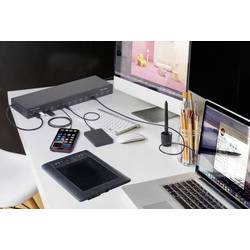 Renkforce RF-6677282 USB Hub 13 portů USB-A USB 3.2 Gen2 10 GBit/s pro průmyslové použití, možnost montáže do stojanu, kovový ukazatel černá 483 mm (19) Rack
