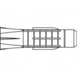 TOOLCRAFT TO-5455083 hmoždinka 31 mm 100 ks