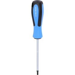 Brilliant Tools BT031013 dílnu TX šroubovák Velikost šroubováku T 20 Délka dříku: 100 mm 1 ks