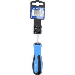 Brilliant Tools BT031013 dílnu TX šroubovák Velikost šroubováku T 20 Délka dříku: 100 mm 1 ks
