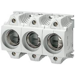 Siemens 5SF5068 patice pro pojistku diazed Velikost pojistky = DII 25 A 500 V/AC 1 ks