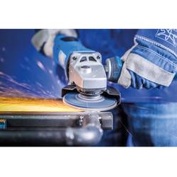 PFERD TOOLS 67666125 Z Psf Steelox vějířovitý brusný kotouč Průměr 125 mm Ø otvoru 22.23 mm Zrnitost 60 10 ks