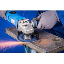 PFERD TOOLS 64202125 brusný papír pro brusné kotouče Zrnitost 24 (Ø) 125 mm 25 ks