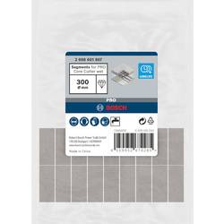 Bosch Accessories 2608601807 2608601807 vrtací korunka 300 mm 1 ks